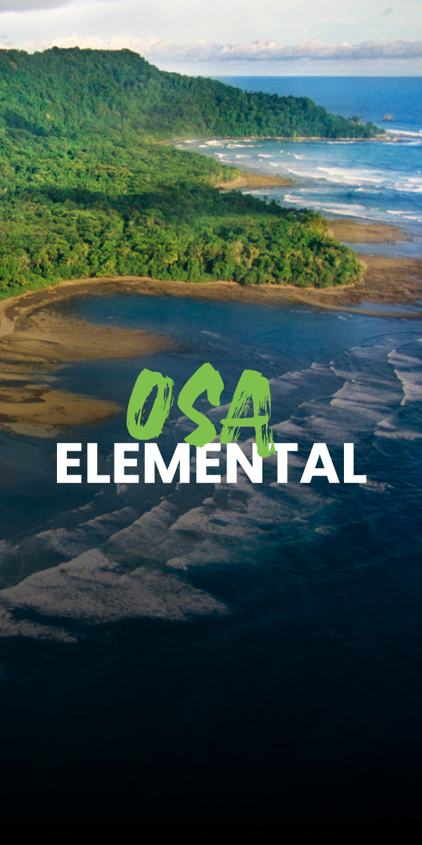 elemental-1